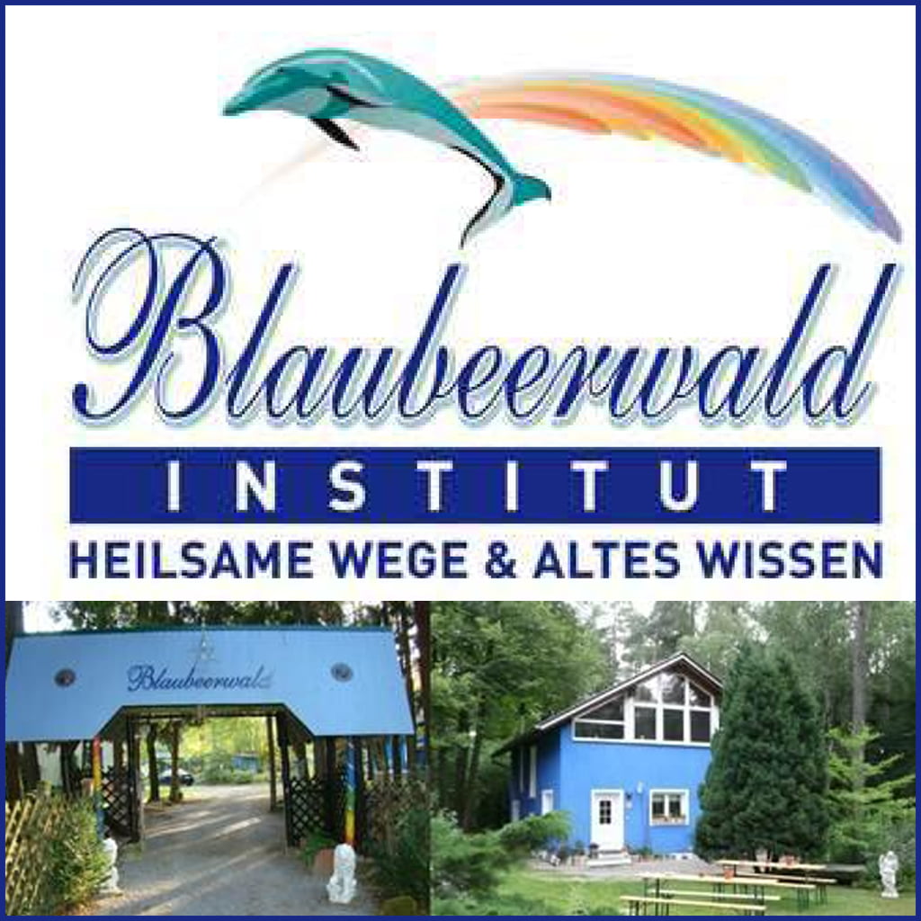 Banner 1 Blaubeerwald Institut