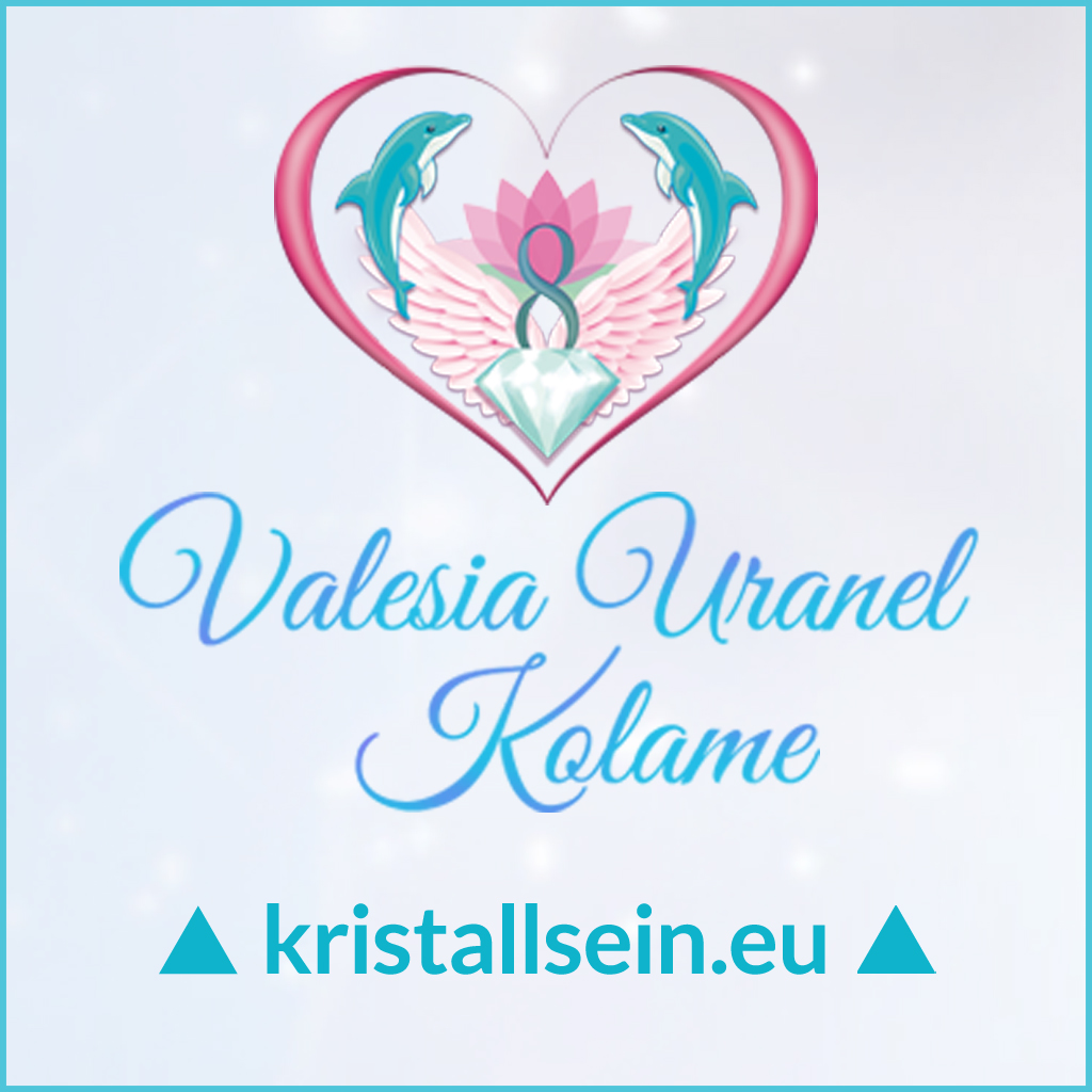 Banner-1-KristallSein